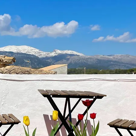 Feliu House By Slow Villa *